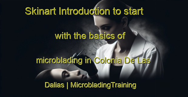 Skinart Introduction to start with the basics of microblading in Colonia De Las Dalias | MicrobladingTraining | MicrobladingClasses | SkinartTraining-United States